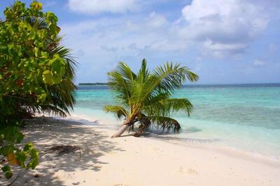 Plumeria Maldives, , Малдиви