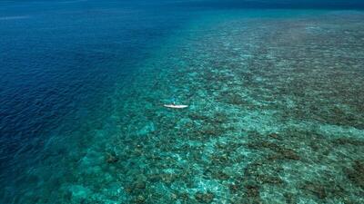 Plumeria Maldives, , Малдиви