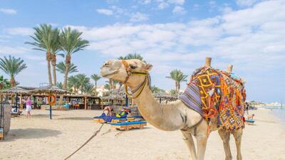 Protels Crystal Beach Resort, , Египет