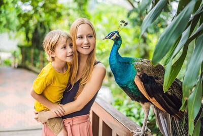 Pullman Phuket Karon Beach Resort, , Тайланд