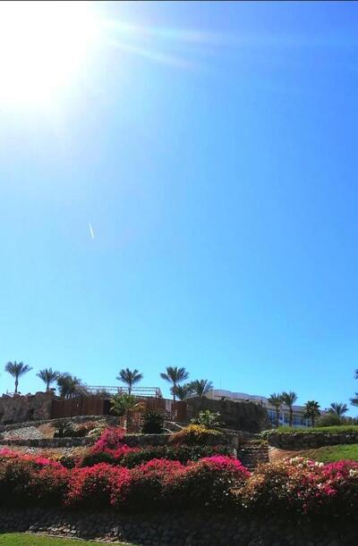Queen Sharm Italian Club, , Египет