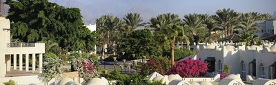 Reef Oasis Beach Aqua Park Resort, , Египет