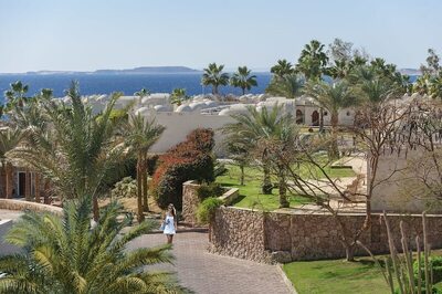 Reef Oasis Beach Aqua Park Resort, , Египет