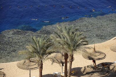 Reef Oasis Beach Aqua Park Resort, , Египет