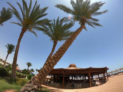 Regency Plaza Aqua Park and Spa Resort, , Египет