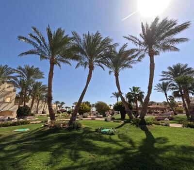 Regency Plaza Aqua Park and Spa Resort, , Египет