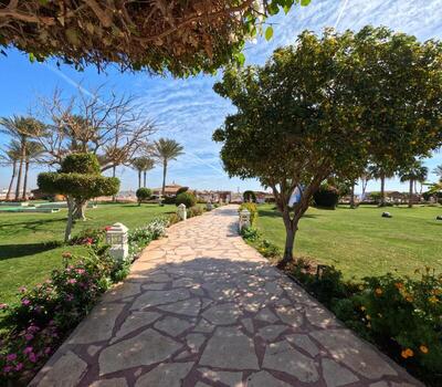 Regency Plaza Aqua Park and Spa Resort, , Египет