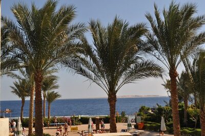 Rehana Royal Beach Resort - Aquapark & Spa - Families & Couples Only, , Египет