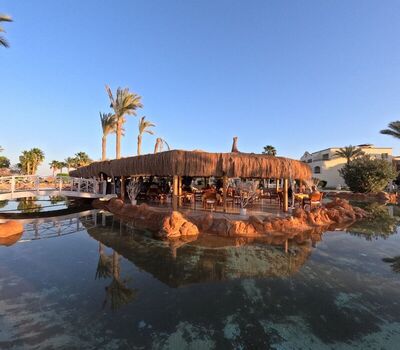 Romance Regency Club, , Египет