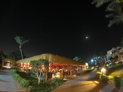 Romance Regency Club, , Египет