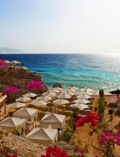 Royal Savoy Sharm El Sheikh, , Египет