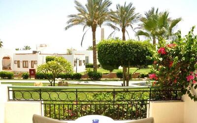 Safir Sharm Waterfalls Resort - Standard Room