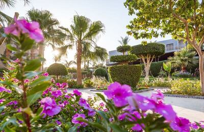 Seagull Beach Resort - Families and Couples Only, Хургада, Египет