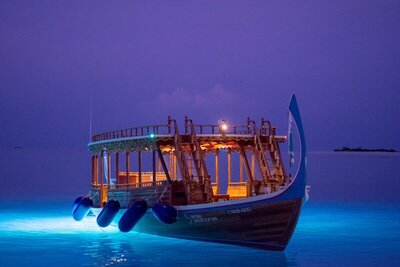 Seaside Finolhu Baa Atoll Maldives, a Member of Design Hotels, , Малдиви