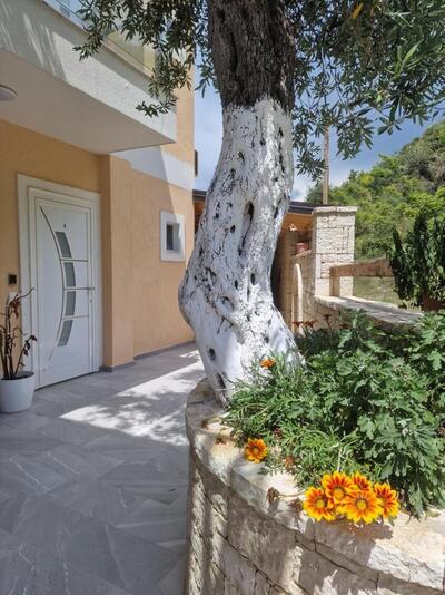 Seaside Hotel, , Албания