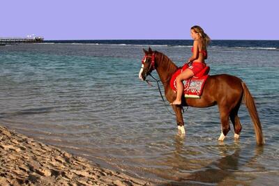 Sentido Akassia Beach, , Египет