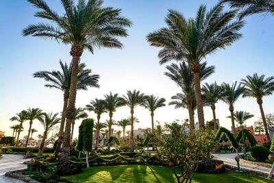 Sentido Akassia Beach, , Египет