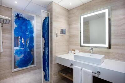 Serenade Punta Cana Beach & Spa Resort - Lusciuos Tropical Garden View Single Use