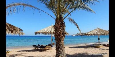 Sharm Dreams Vacation Club - Aqua Park, , Египет