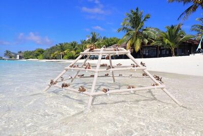 Sheraton Maldives Full Moon Resort & Spa, , Малдиви