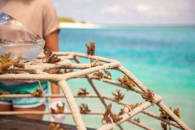 Sheraton Maldives Full Moon Resort & Spa, , Малдиви