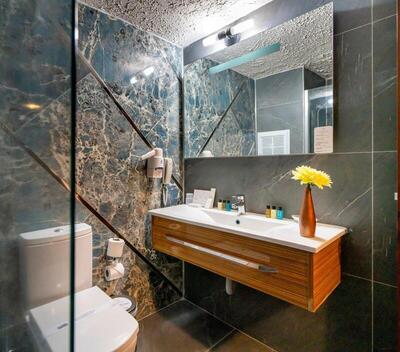 SIGNATURE GARDEN AVANOS Hotel & SPA - Standard Double Or Twin Room