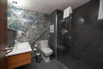 SIGNATURE GARDEN AVANOS Hotel & SPA - Standard Double Or Twin Room