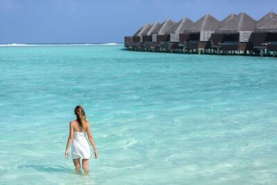 Taj Exotica Resort And Spa - Deluxe Villa, Ocean View (Lagoon)