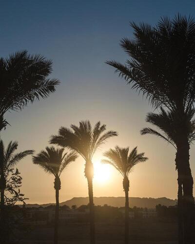 The Grand Hotel Sharm El Sheikh, , Египет
