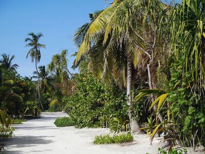 The Residence Maldives, , Малдиви