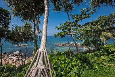Trisara Villas & Residences Phuket - 4-Bedroom Ocean Front Residence- No.31