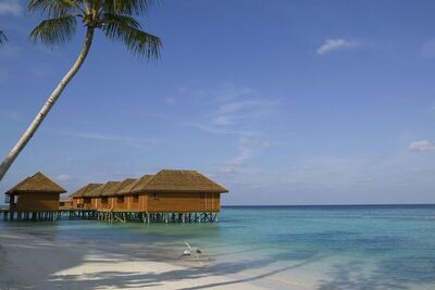 Veligandu Maldives Resort Island, , Малдиви