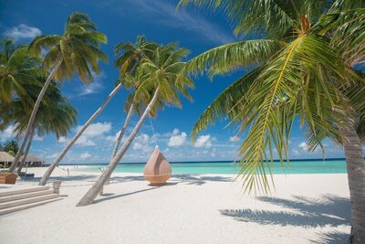 Veligandu Maldives Resort Island, , Малдиви