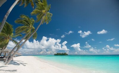 Veligandu Maldives Resort Island, , Малдиви