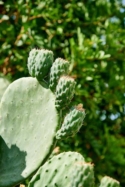 Village Heights Resort, Ираклион, Гърция