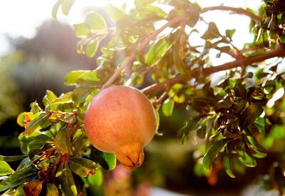 Village Heights Resort, Ираклион, Гърция