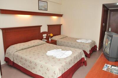 Wasa Hotel - Standard Double Room