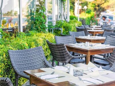 Xenios Dolphin Beach Hotel, Касандра, Гърция